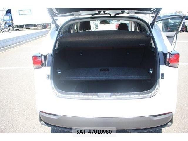 Lexus NX 2017-01 245349-17