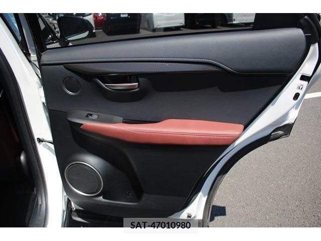Lexus NX 2017-01 245349-13