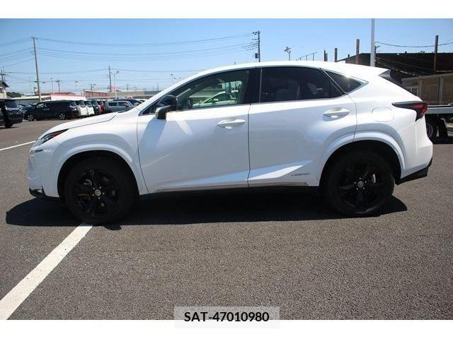 Lexus NX 2017-01 245349-7