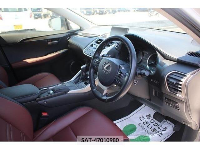 Lexus NX 2017-01 245349-12