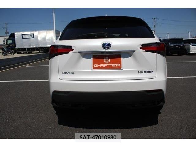 Lexus NX 2017-01 245349-8