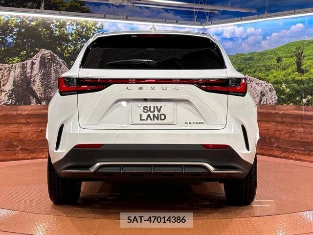 Lexus NX 2023-01 275735-12