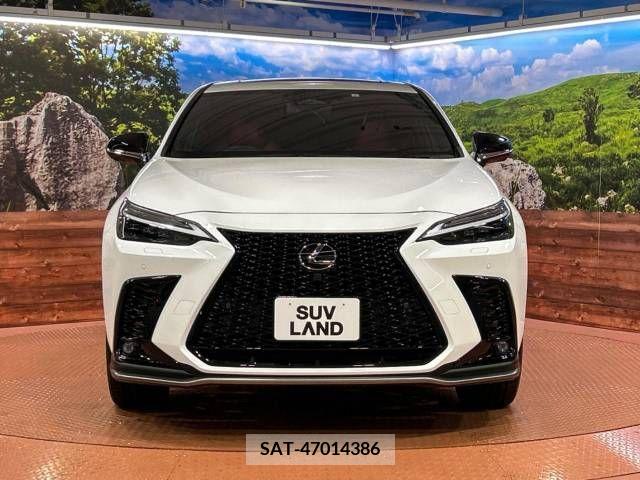 Lexus NX 2023-01 275735-11