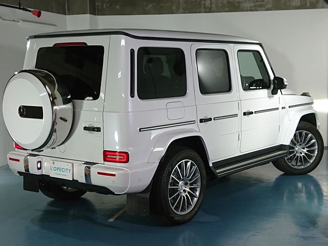 Mercedes Benz G-CLASS 2022-01 26646-24