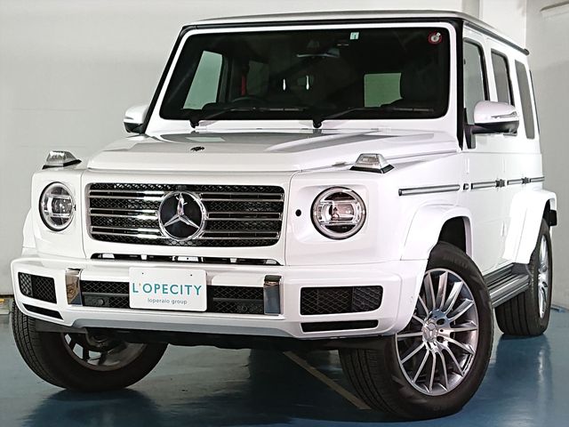 Mercedes Benz G-CLASS 2022-01 26646-0