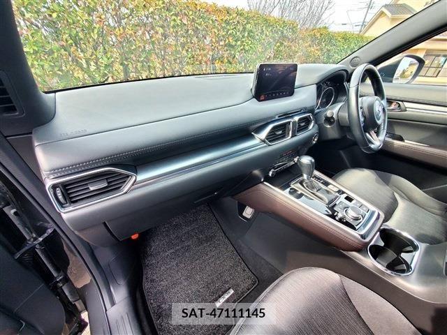 Mazda CX-8 2020-02 212725-8