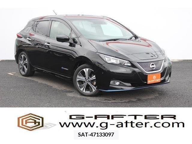 Nissan LEAF 2019-04 297876-0