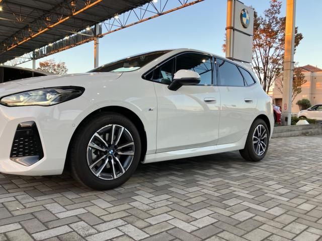 Bmw 2 SERIES 2023-06 13106-9