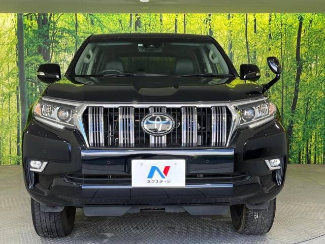 Toyota PRADO 2019-05 18417-14