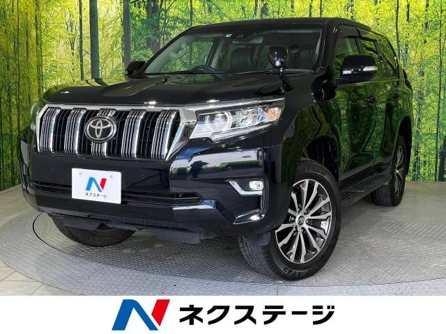 Toyota PRADO 2019-05 18417-0
