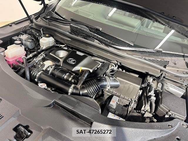 Lexus RX 2017-06 299706-19