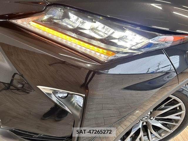 Lexus RX 2017-06 299706-17