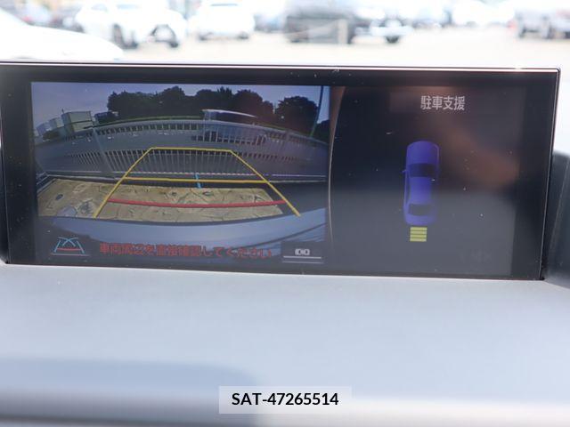 Lexus CT 2018-09 387817-14