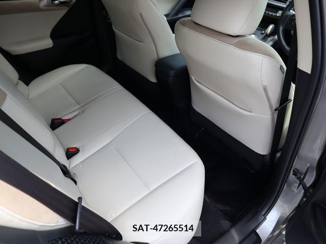Lexus CT 2018-09 387817-10
