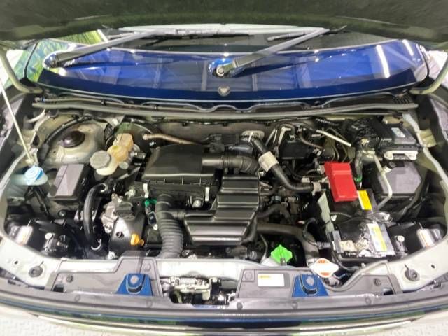 Suzuki LAPIN 2021-03 194678-18