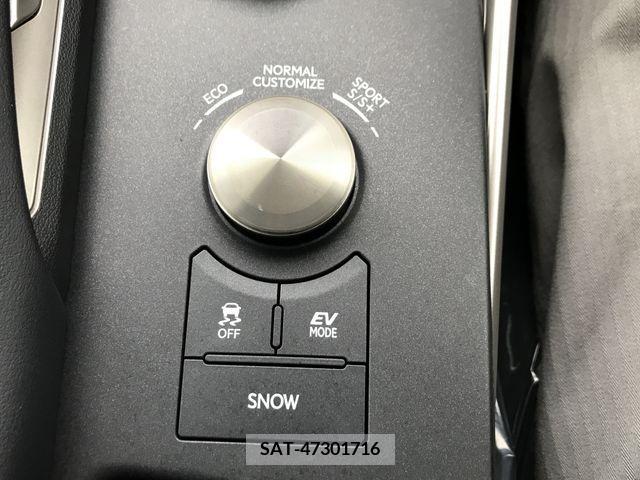 Lexus IS 2019-11 235840-19