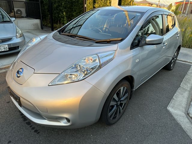 Nissan LEAF 2017-03 16978-2