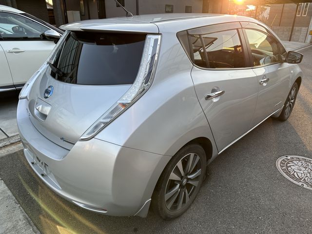 Nissan LEAF 2017-03 16978-4