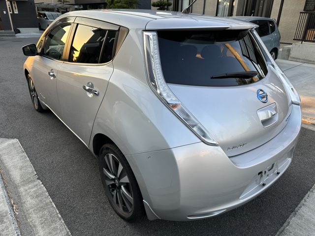 Nissan LEAF 2017-03 16978-3