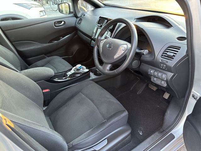 Nissan LEAF 2017-03 16978-5