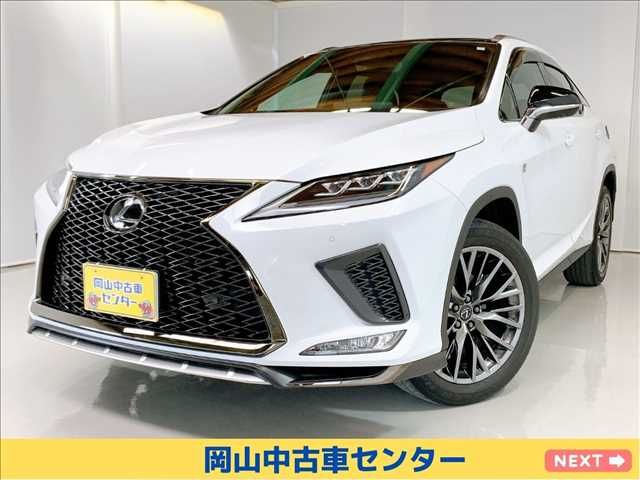 Lexus RX 2019-11 3988-0