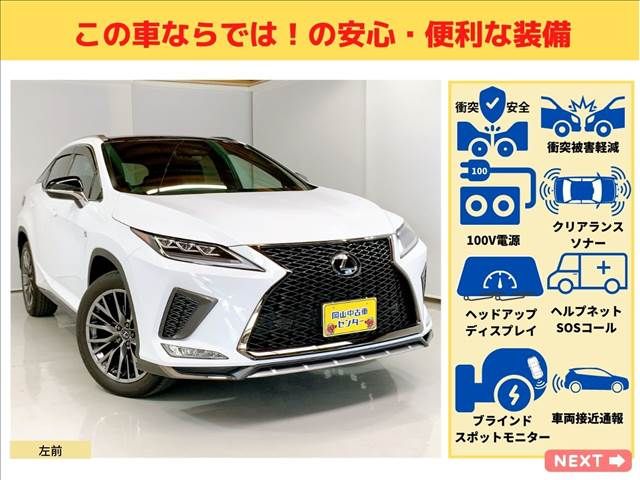 Lexus RX 2019-11 3988-9