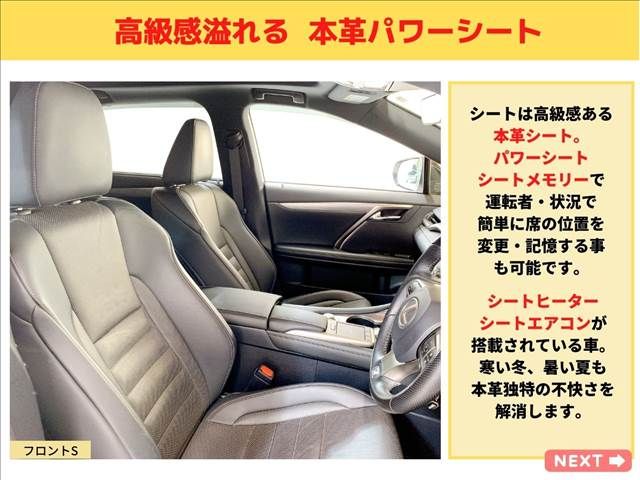 Lexus RX 2019-11 3988-16