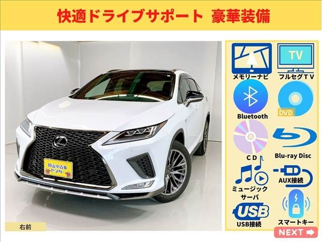 Lexus RX 2019-11 3988-5