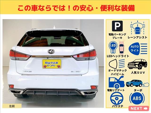Lexus RX 2019-11 3988-8