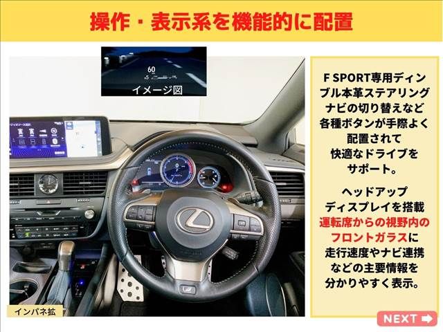 Lexus RX 2019-11 3988-19