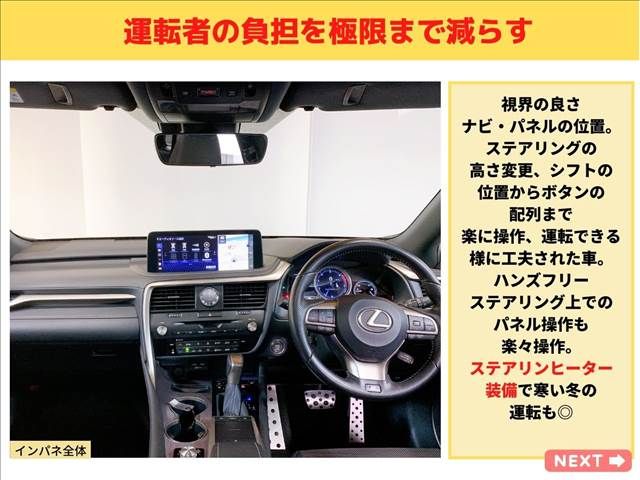 Lexus RX 2019-11 3988-18