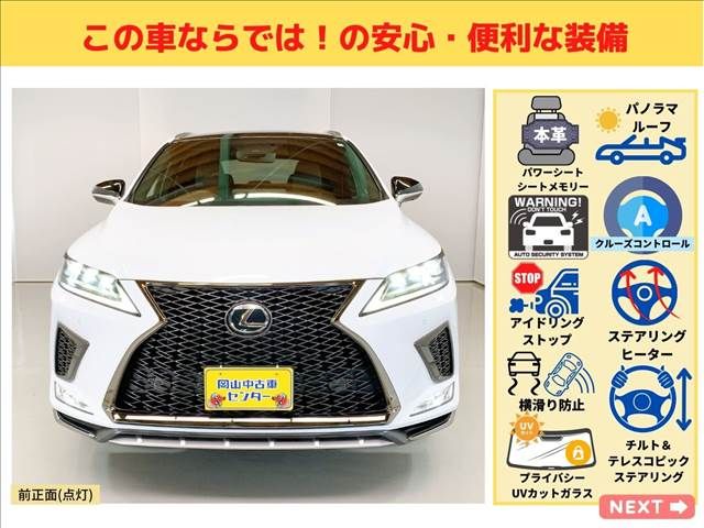 Lexus RX 2019-11 3988-7