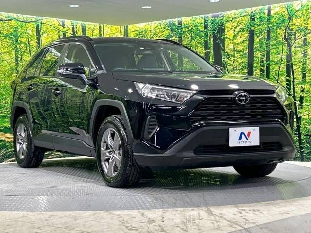 Toyota RAV4 2023-06 17554-17