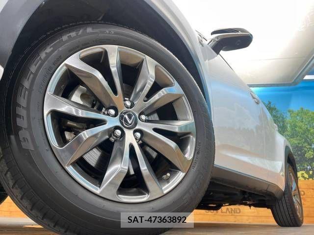 Lexus NX 2019-07 388227-13