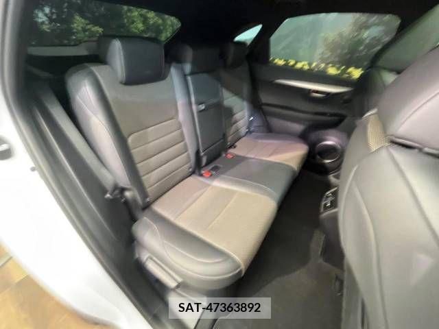 Lexus NX 2019-07 388227-10