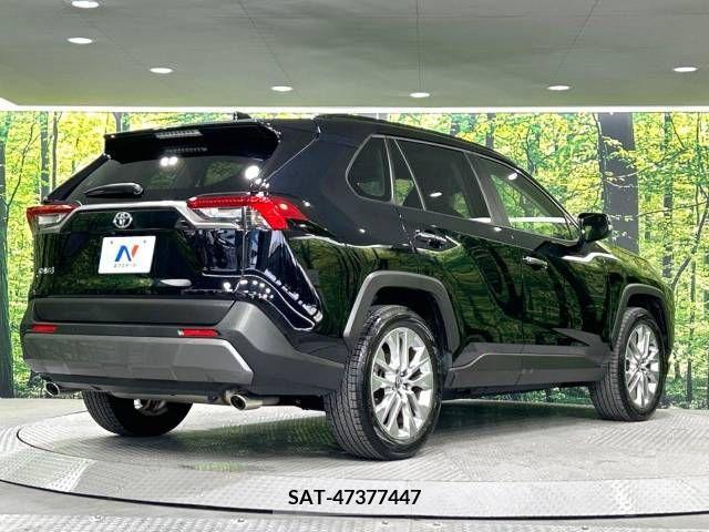 Toyota RAV4 2019-04 313137-18