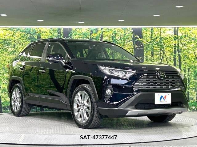 Toyota RAV4 2019-04 313137-17