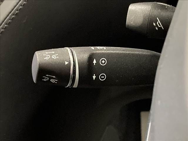Tesla MODEL X 2018-01 12217-8