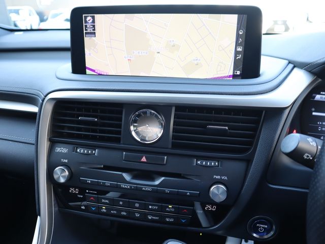 Lexus RX 2020-03 3919-13
