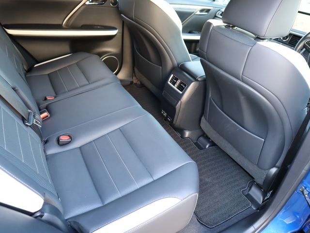 Lexus RX 2020-03 3919-10