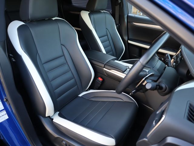 Lexus RX 2020-03 3919-8