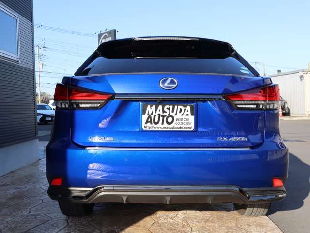 Lexus RX 2020-03 3919-5