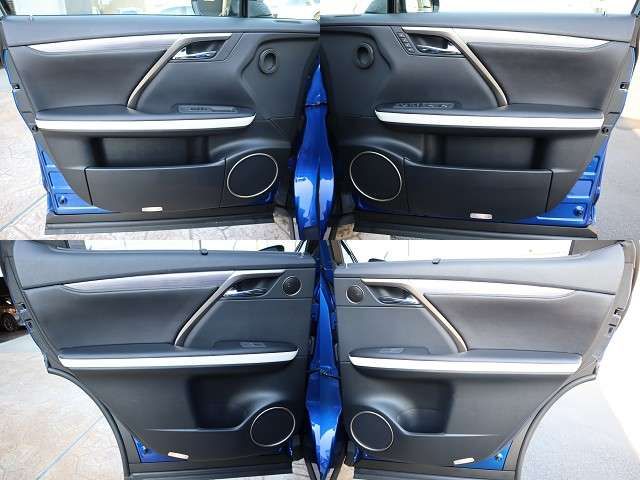 Lexus RX 2020-03 3919-26
