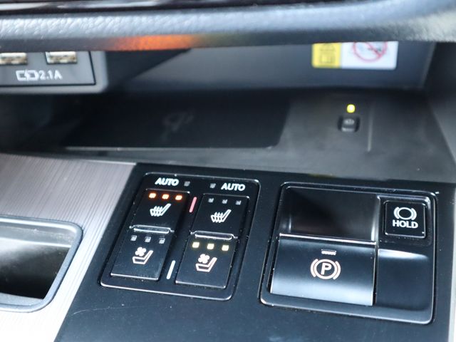 Lexus RX 2020-03 3919-16