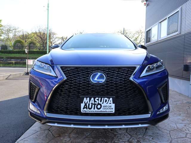 Lexus RX 2020-03 3919-1