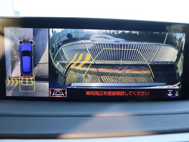 Lexus RX 2020-03 3919-14