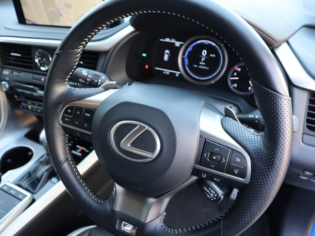 Lexus RX 2020-03 3919-12