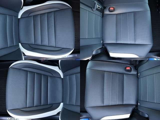 Lexus RX 2020-03 3919-25