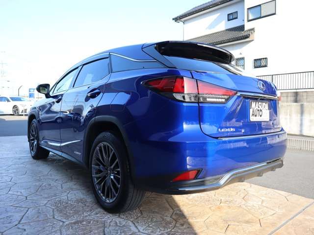 Lexus RX 2020-03 3919-4