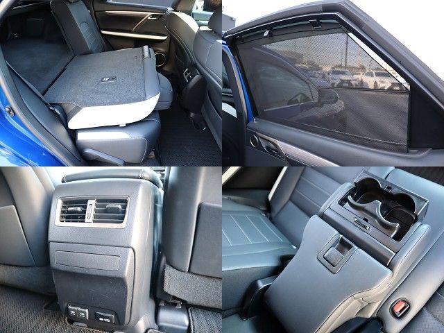Lexus RX 2020-03 3919-23